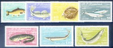 Fauna. pesce 1960. usato  Milano