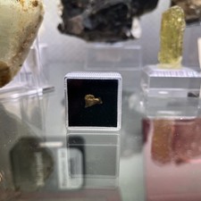 Golden nugget berezovski gebraucht kaufen  Biebertal