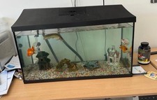 120 litre fish for sale  CRAWLEY
