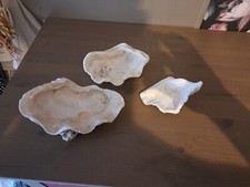 Coquillage collection 3 d'occasion  Chaumont