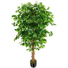 6ft artificial ficus for sale  Brentwood