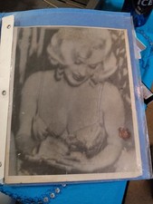 Marylin monroe picture for sale  Omaha