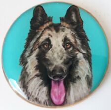 belgian tervuren for sale belgian tervuren for sale Encinitas