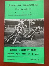 Brafield coventry colts for sale  SHREWSBURY