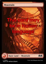 Mtg mountain 265 usato Mtg mountain 265 usato  Bari