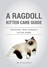 Ragdoll kitten care for sale  UK
