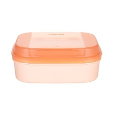 Tupperware naschkätzchen lach gebraucht kaufen  Sehmatal