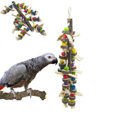 Giant macaw parrot for sale  HATFIELD