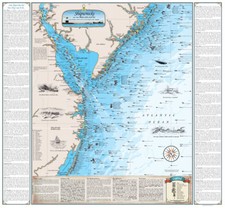 Mid atlantic shipwreck for sale  Nashville