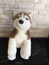 Lapland hunaja husky for sale  MAIDENHEAD