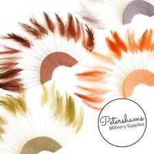 Stripped hackle feather for sale  CANTERBURY