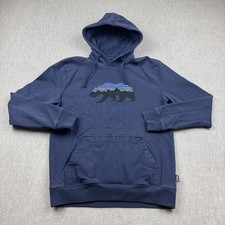 Patagonia hoodie mens for sale  Lancaster
