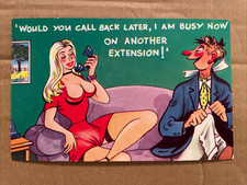 Saucy humour seaside for sale  LINCOLN