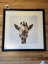 Water color print for sale  Omaha