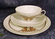Rosenthal romanze rchidee gebraucht kaufen  Neuengörs