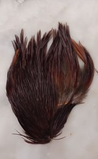 cou coq d'occasion  Batz-sur-Mer