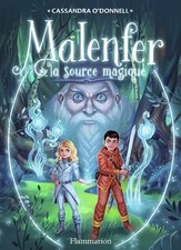Malenfer tome source d'occasion  France