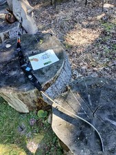 Modern spigarelli archery for sale  Randolph