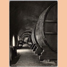 Cartão postal adega Moet & Chandon Epernay França comprar usado  Enviando para Brazil
