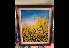 Dipinto olio tela usato  Sanremo