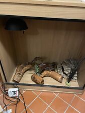 Large snake lizard for sale  STEVENAGE