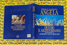Book libro piero usato Book libro piero usato  Ferrara