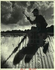 1980 press photo for sale  Memphis