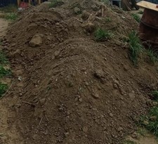 Torffreie blumenerde mutterbod gebraucht kaufen  Jüterbog