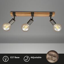 Briloner decken lampe gebraucht kaufen  Ribnitz-Damgarten