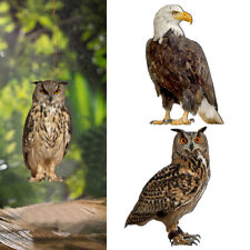 Owl decoy bird for sale  UK