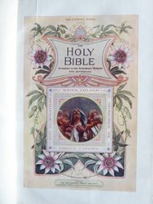 Copping bible religious for sale  WALLINGTON