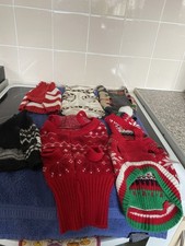 chihuahua jumper for sale chihuahua jumper for sale MANCHESTER