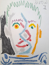 Pablo picasso farbige gebraucht kaufen  Hamburg