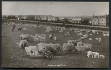 Banchory aberdeenshire arbeadi for sale  UK