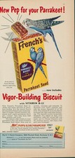 1954 french parrakeet for sale  Tualatin