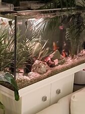 Aquarium 160 liter gebraucht kaufen  München