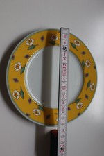 Teller gallo design gebraucht kaufen  Rosengarten