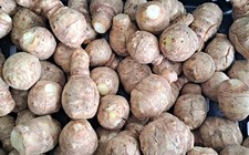 Mixed size jerusalem for sale  ASHFORD