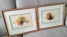 limited edition tiger prints for sale limited edition tiger prints for sale STOKE-ON-TRENT