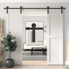 10ft barn door for sale  Metairie