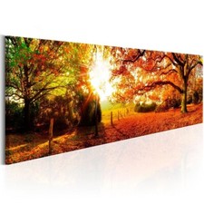 Bild leinwand wandbild gebraucht kaufen  Deutschland