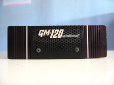 Pioneer 120 auto usato  Roma