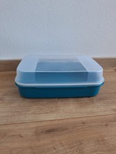 Großes naschkätzchen türkis gebraucht kaufen Großes naschkätzchen türkis gebraucht kaufen  Nagold