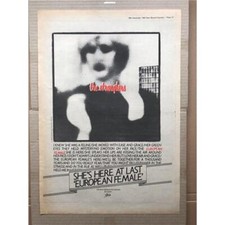 Stranglers european female for sale  CHESTERFIELD