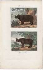 Buffon. gravure ancienne d'occasion  Lambersart