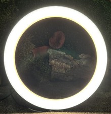 Led ringlicht zoll gebraucht kaufen  Berlin