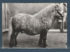 Cpsm 1960 faune d'occasion  Bourg-en-Bresse