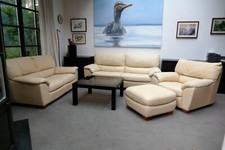 Natuzzi neues superweiches gebraucht kaufen  Rostock
