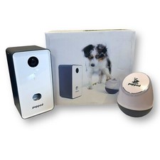 toy pups for sale toy pups for sale Seattle