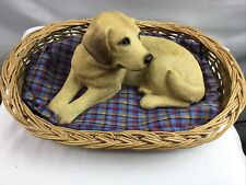 Sandicast labrador golden for sale  Southgate